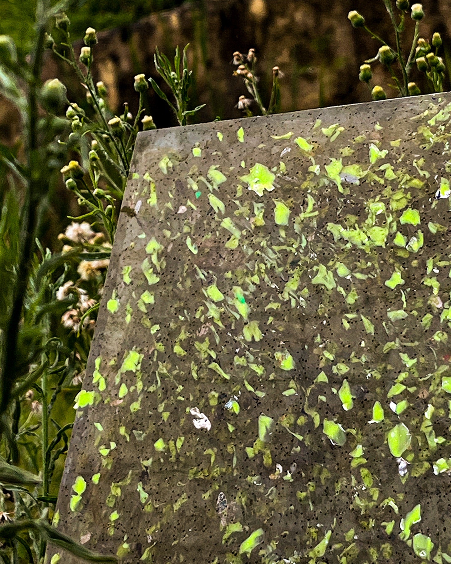 Placas Rewave em diferentes cores opacas e translúcidas