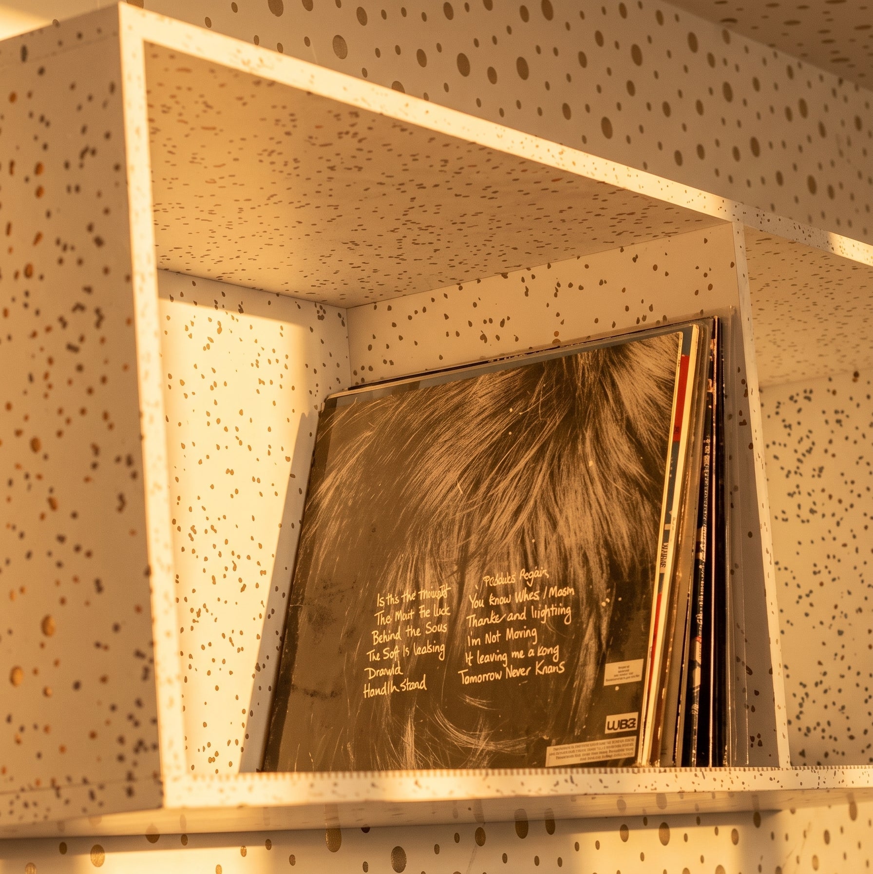 Estante para Vinil