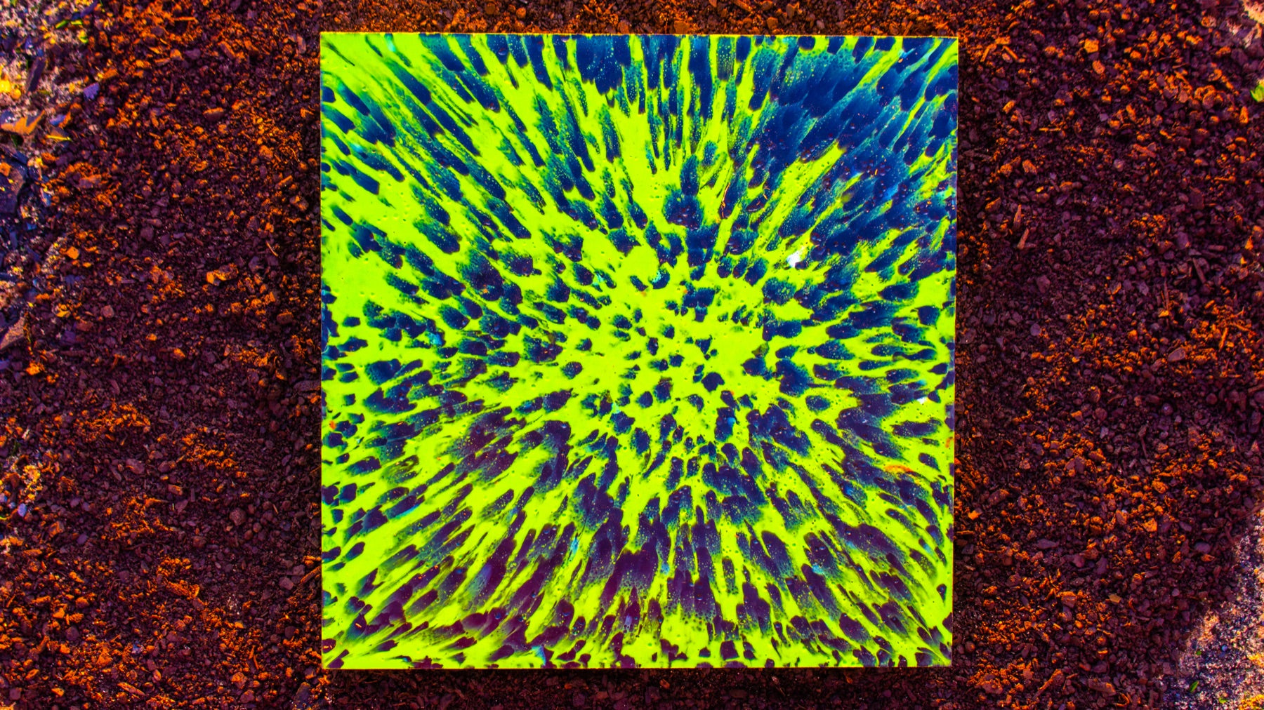 Placa Rewave verde e azul sobre fundo natural terroso